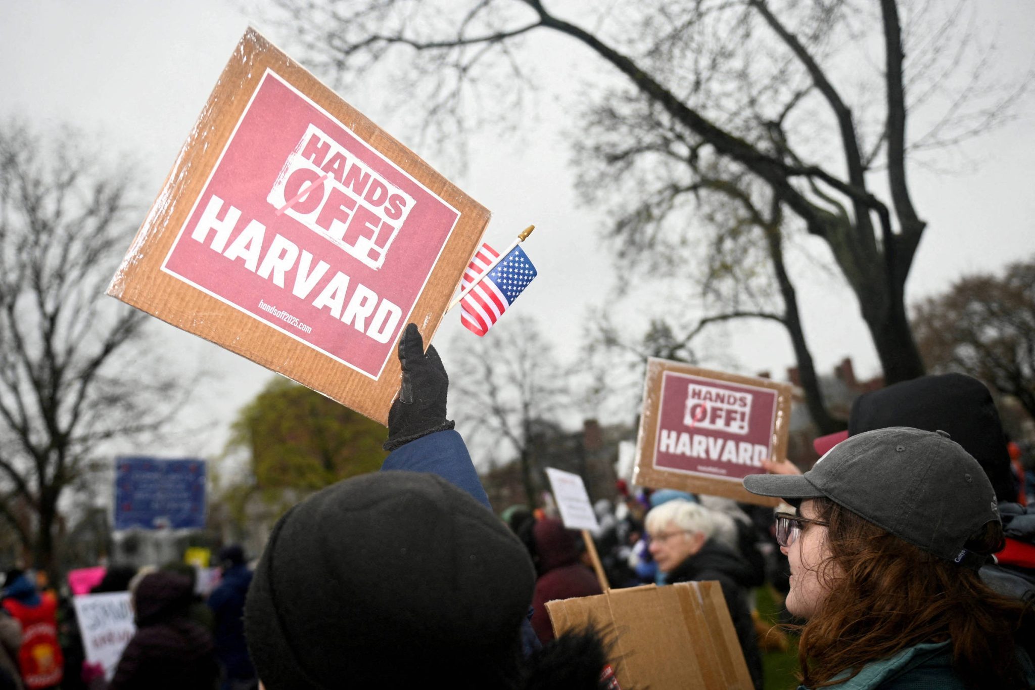 harvard-prova-que-academia-pode-ser-grande-de-novo