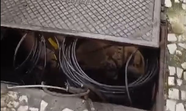 moradores-de-laranjeiras-denunciam-furtos-constantes-de-cabos-na-regiao