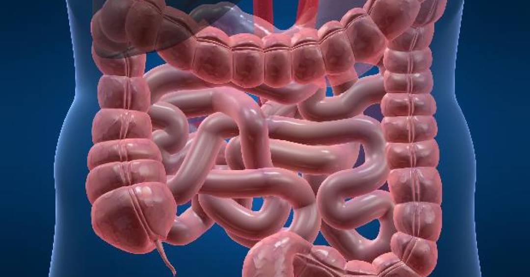 comprimido-com-principio-inovador-e-aprovado-para-doenca-de-crohn