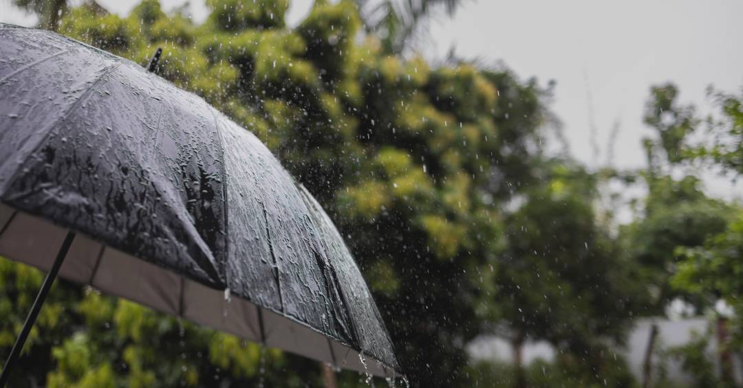 pesquisa-detecta-agrotoxicos-na-chuva-em-tres-cidades-brasileiras;-veja-quais