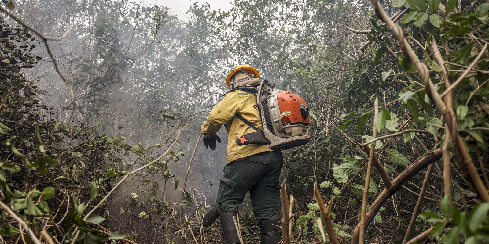 combate-a-incendios-florestais-podem-ter-recursos-do-fundo-amazonia