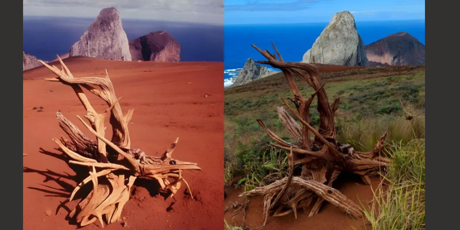 pesquisa-na-ilha-da-trindade-(es)-detalha-recuperacao-ambiental