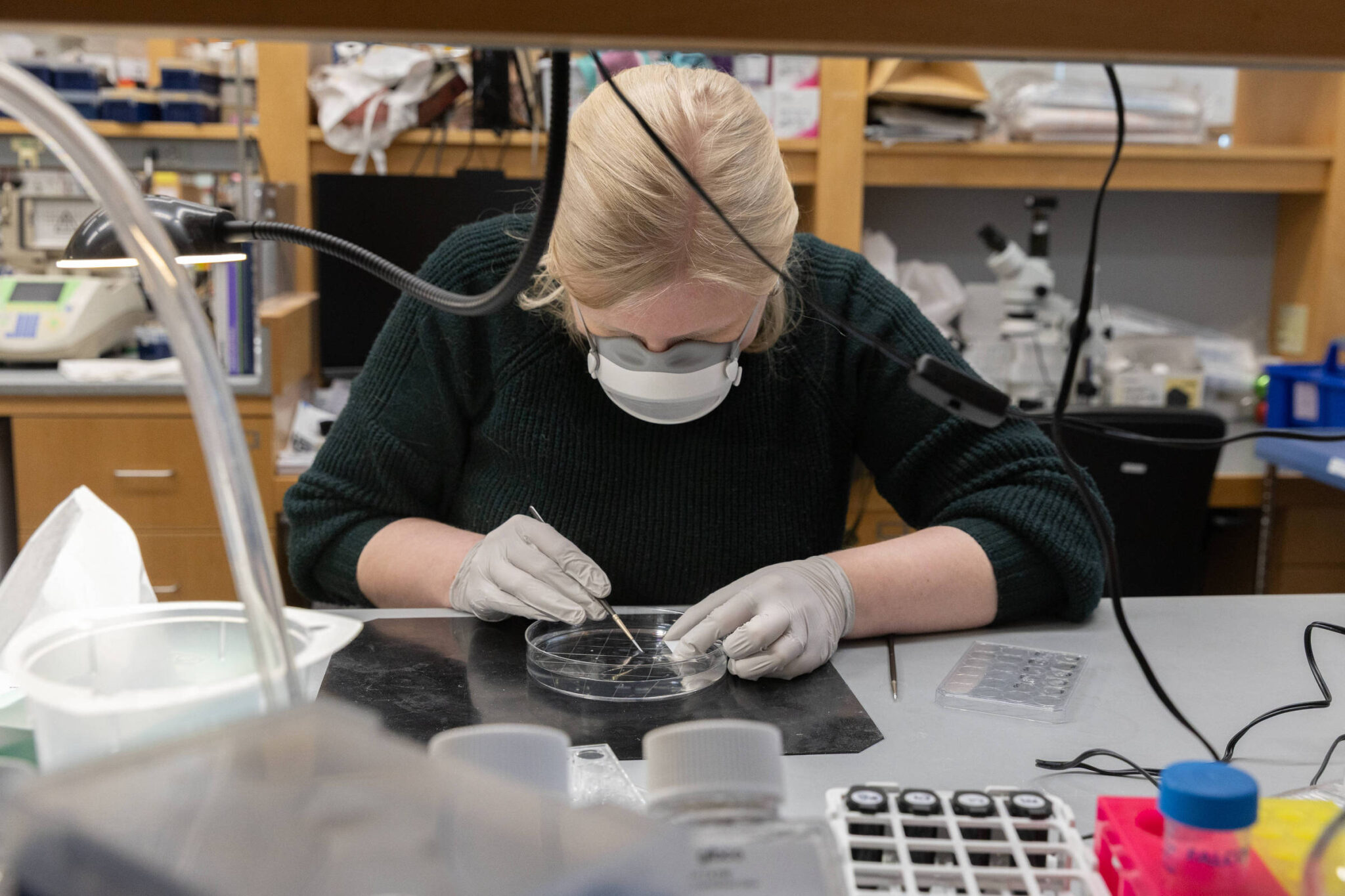 o-que-a-covid-longa-pode-nos-ensinar-sobre-futuras-pandemias