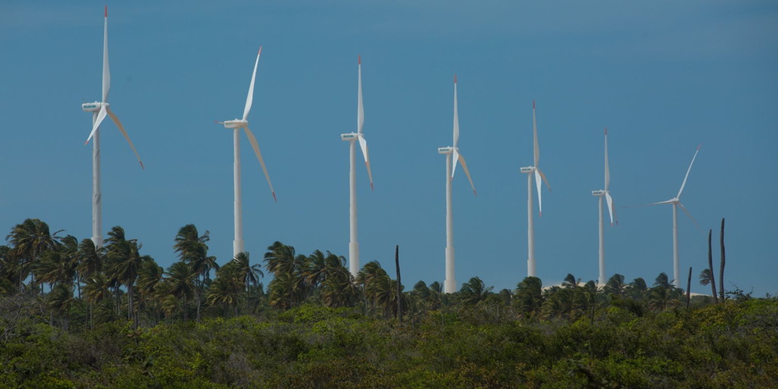 inscricoes-para-olimpiada-de-eficiencia-energetica-ja-estao-abertas