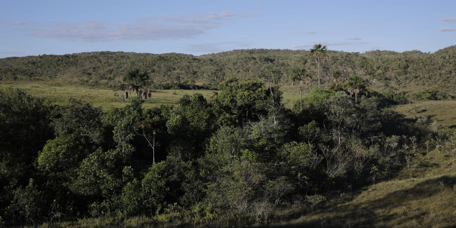 viva-maria-reforca-campanha-pela-protecao-do-cerrado