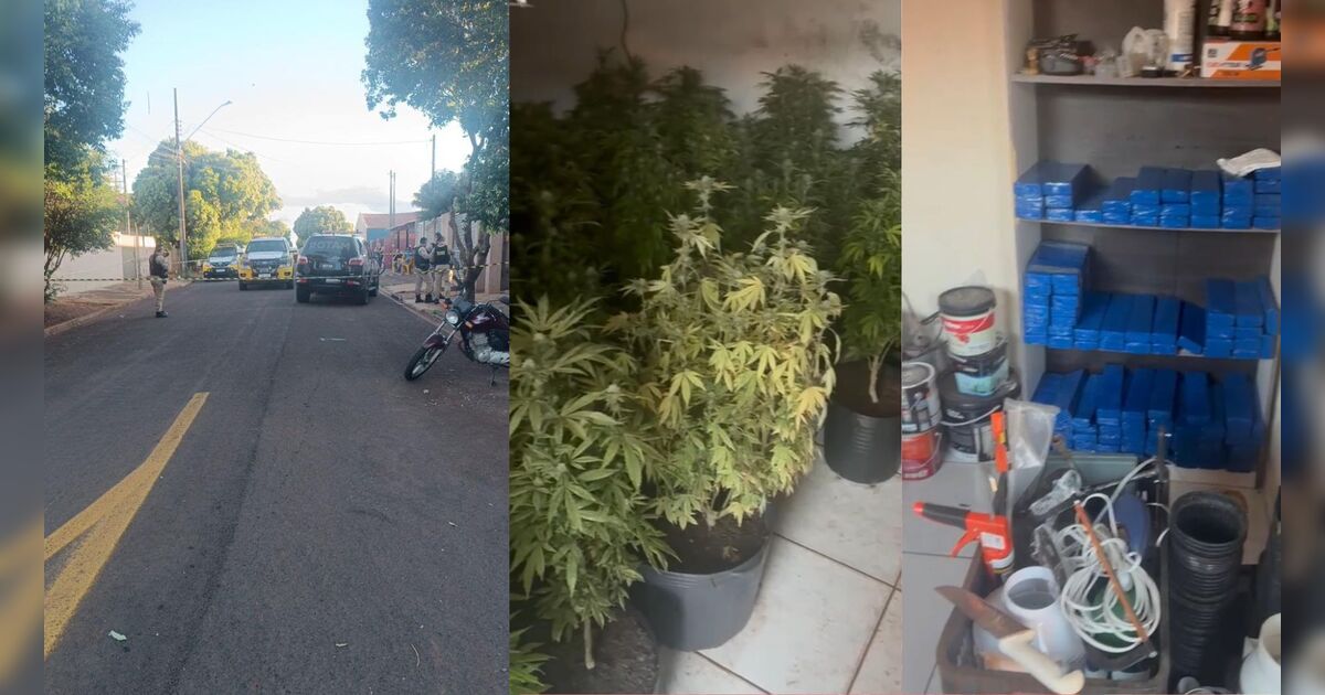 homem-morre-em-confronto-com-a-pm-ao-ser-pego-com-plantacao-de-maconha