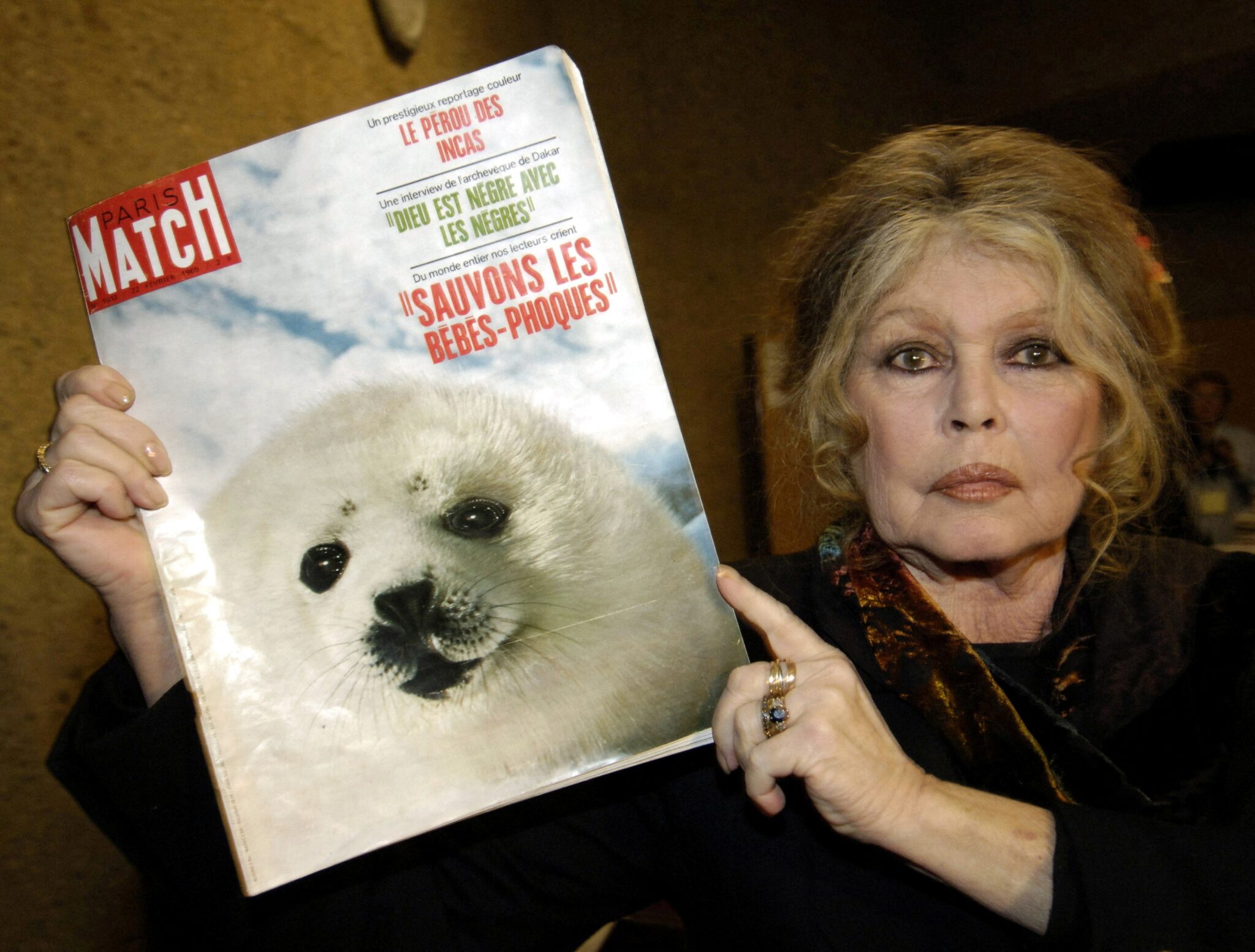 franca-debate-como-homenagear-brigitte-bardot-entre-seu-legado-e-suas-polemicas