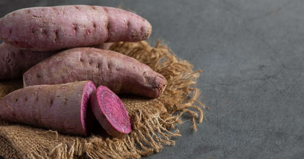 conheca-os-beneficios-da-batata-doce-e-saiba-como-inseri-la-no-seu-dia-a-dia