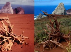 pesquisa-na-ilha-da-trindade-(es)-detalha-recuperacao-ambiental