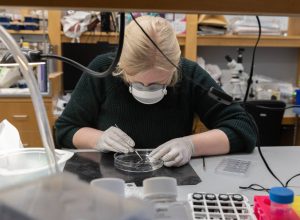 o-que-a-covid-longa-pode-nos-ensinar-sobre-futuras-pandemias