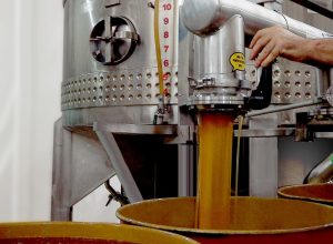 mel-de-sc-com-medalha-de-ouro-internacional-sofre-impacto-com-o-tarifaco-de-trump