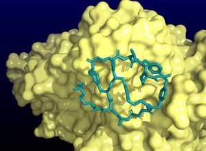 ensaio-clinico-mostra-que-nova-pilula-reduz-colesterol-a-niveis-extremamente-baixos