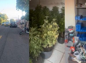 homem-morre-em-confronto-com-a-pm-ao-ser-pego-com-plantacao-de-maconha