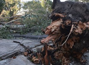 midr-reconhece-situacao-de-emergencia-em-21-municipios 