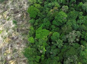 desmatamento-na-amazonia-registra-a-menor-taxa-em-11-anos