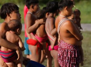 governo-intensifica-acoes-de-combate-a-coqueluche-na-ti-yanomami