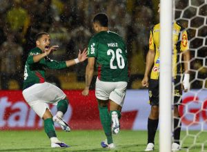 palmeiras-e-campeao-paulista-pela-27a-vez-com-vitoria-sobre-o-novorizontino