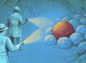 como-uma-nova-onda-de-imunoterapia-esta-eliminando-canceres