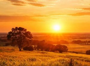 confira-a-previsao-do-tempo-em-ivaipora-neste-domingo-(19)